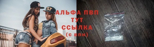 индика Балахна