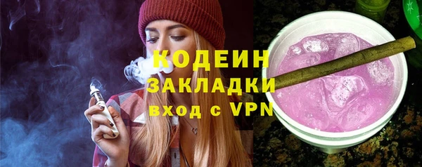 индика Балахна